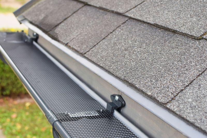 Gutter Covers on a Residential Roof